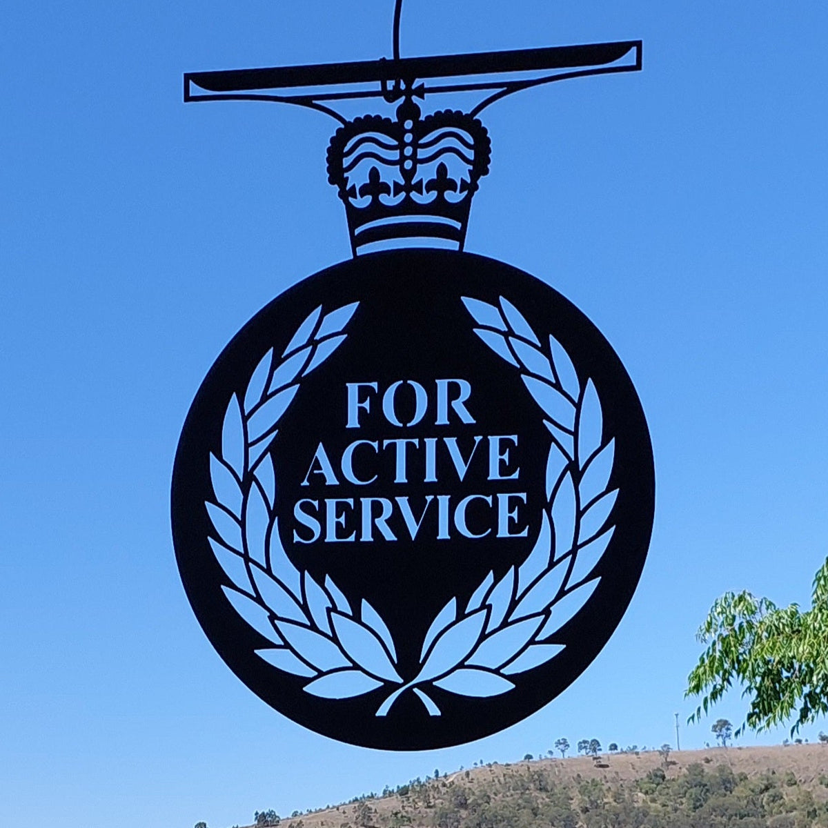 Active Service Medal Wall Art