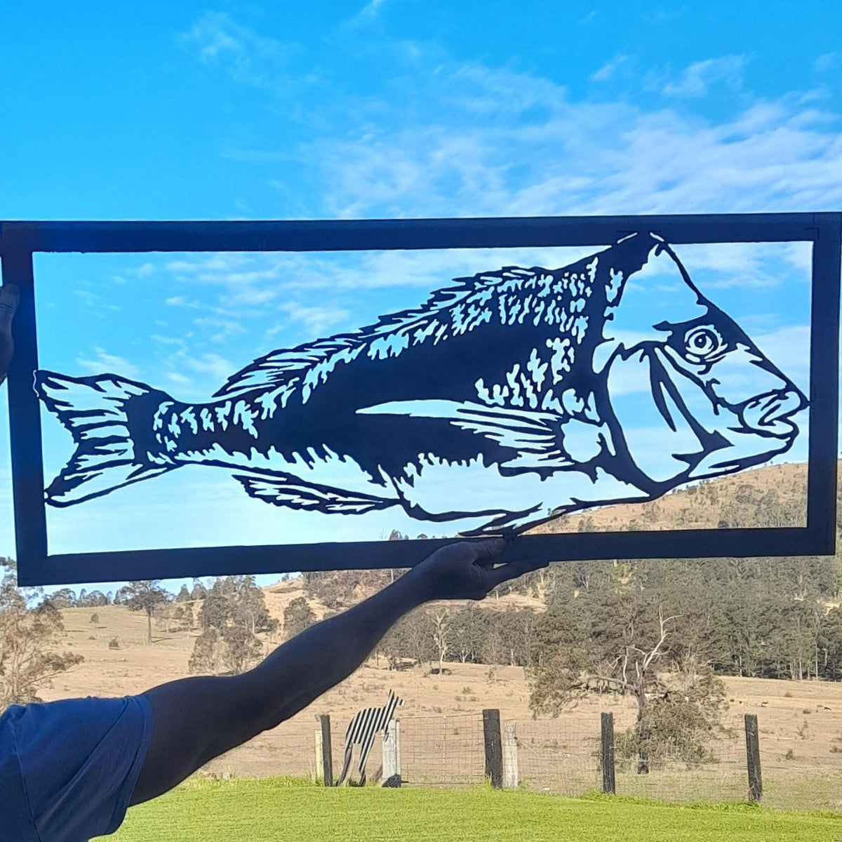 Snapper Wall Art