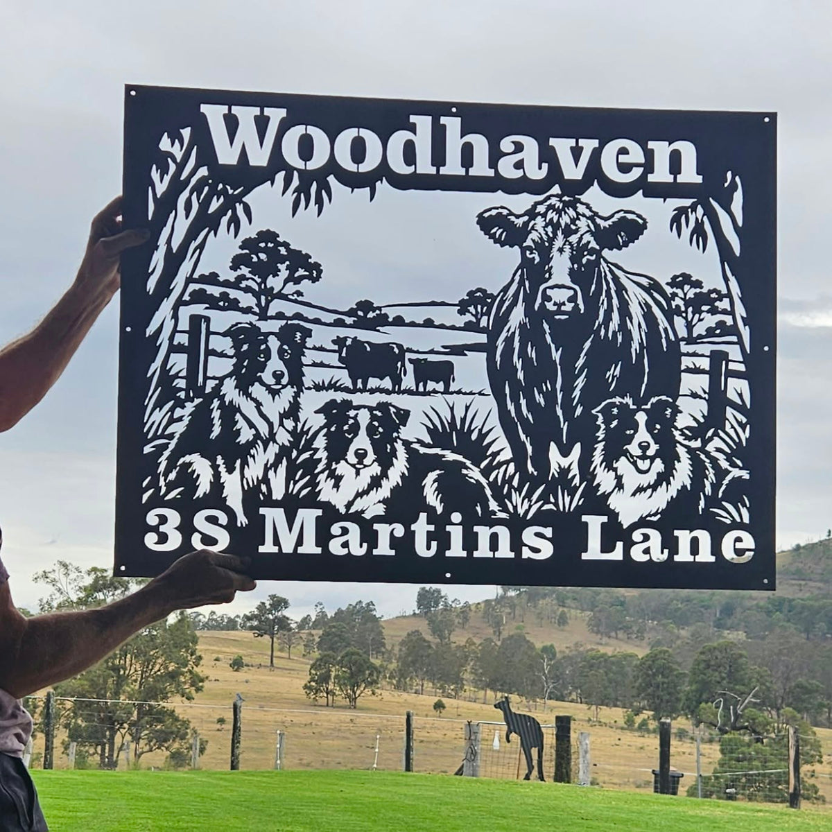 Angus cow with 3 Collies Property Sign with address