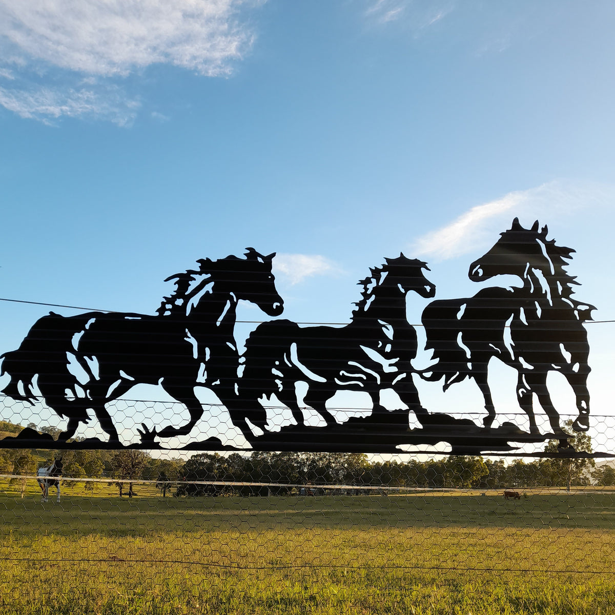 Brumbies Running Panel