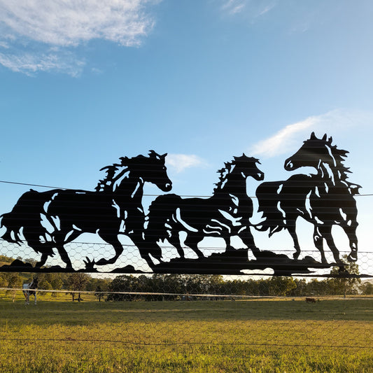 Brumbies Running Panel