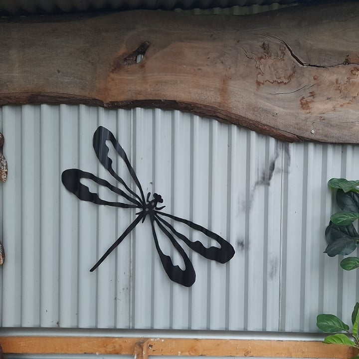 Dragonfly