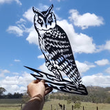 Wise ol' Owl