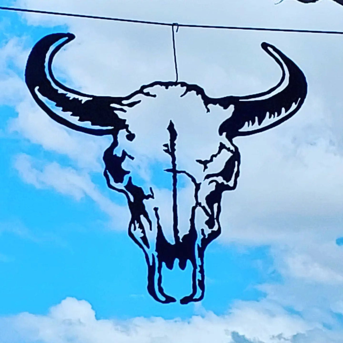 Bull Skull Wall Art