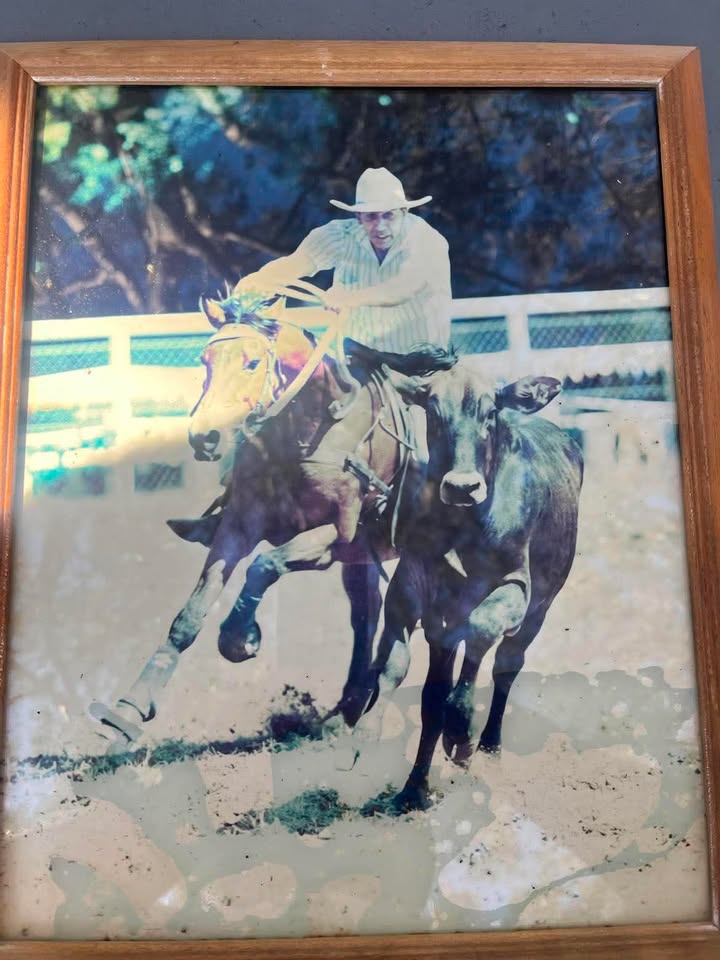 Campdrafting Portrait